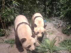 -武汉园博园(武汉自然博物馆)