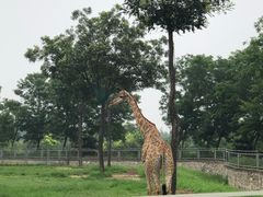 -石家庄市动物园