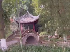 -望江楼公园