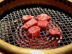 牛肋条-老乾杯(深圳湾万象城店)