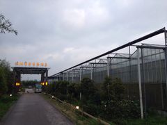 -汤山翠谷生态餐厅