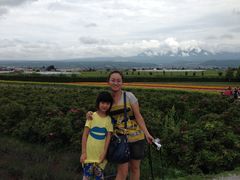 -富田农场