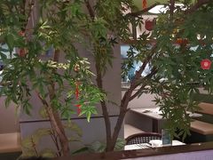 -Aqua Oasis 水天堂(太湖中心mall店)