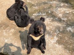 -西安秦岭野生动物园