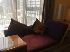 -青岛富力艾美酒店