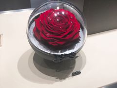 -ROSEONLY诺誓(青岛万象城店)