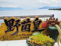 -野菌皇海景野生菌火锅(滨海大道店)