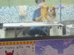 -全心全意动物诊疗中心医院(北苑店)