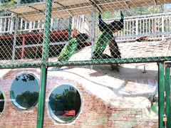 -北京鹿世界主题园