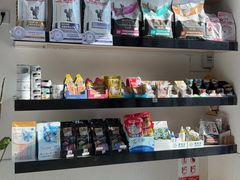-凯特喵百思猫专科医院