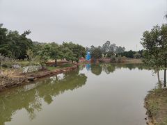 -南沙蒲洲花园