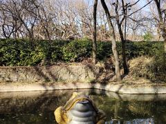 -句容茅山景区