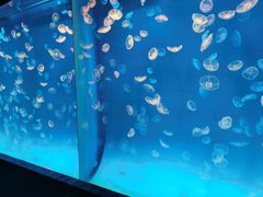 -多彩贵州城极地海洋世界