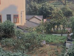 -西湖风景区十里琅珰-五云山