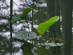 -云龙湖旅游景区
