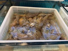 -妈妈菜舟山海鲜(定海古城店)