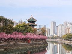 -望江楼公园