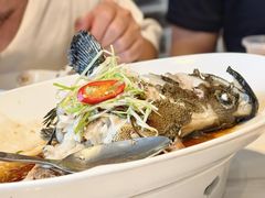 -滋粥楼·顺德菜(番禺广场总店)