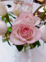 -Hi Beauty Skin 科技美肤中心