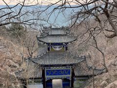-石老人观光园