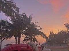 -玫瑰海岸文化旅游度假区