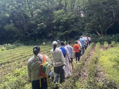 -西湖风景区-江洋畈生态公园