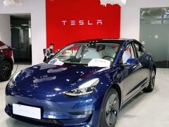 -TESLA 特斯拉(深圳观澜特斯拉直营钣喷中心)