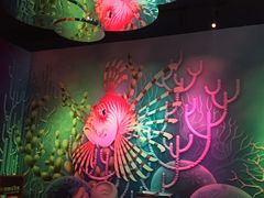 -沈阳海洋探索中心