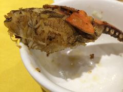 -石头咕(葵蓬店)