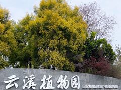 -云溪植物园