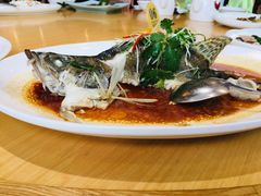 -德胜轩正宗顺德菜(宝安沙井会展中心店)