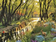 -长兴太湖图影湿地文化园