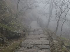 -黄山风景区