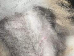 -美迦爱-牙专科·兔科·骨科诊疗中心(北苑店)