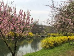 -南山风景名胜区