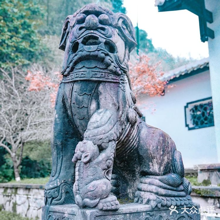 常德|我走入了陶渊明笔下"桃花源记"的世界