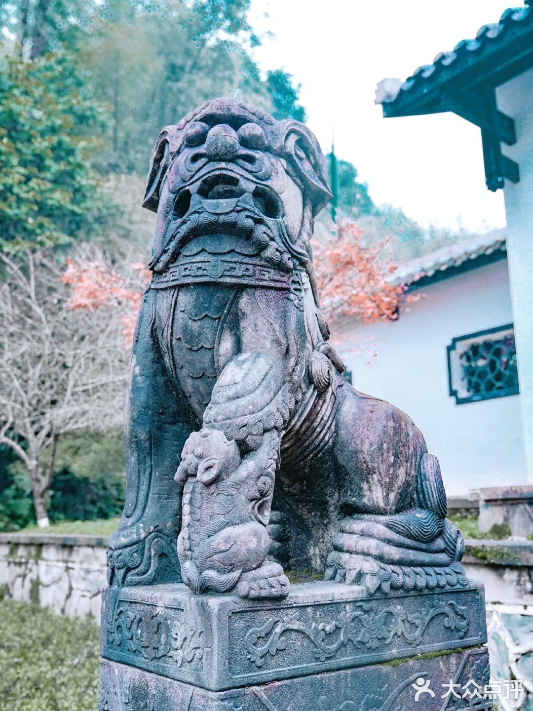 常德｜我走入了陶渊明笔下"桃花源记"的世界