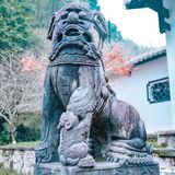 常德｜我走入了陶渊明笔下"桃花源记"的世界