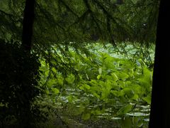 -同里国家湿地公园