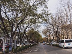 -中关村茶点