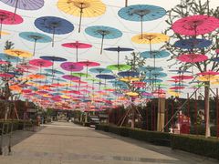 -东台西溪天仙缘景区