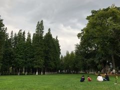 -庾园