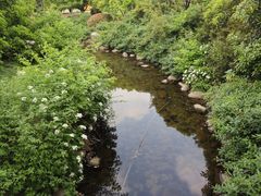 -白马涧龙池景区