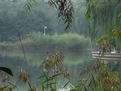 -大兴滨河森林公园