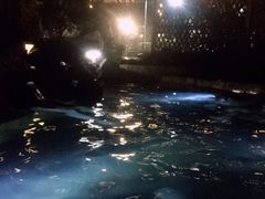-田园东方蜜桃村的田野营地
