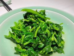 清炒芽菜-唐廊烤鸭店(工体店)
