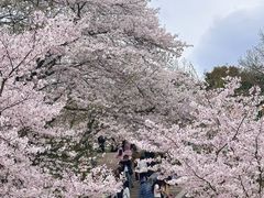 -杭州少年儿童公园