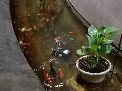 -金水养生(华新店)