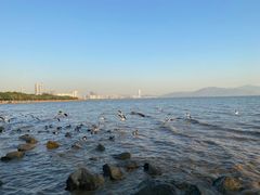 -深圳湾公园(南山区)