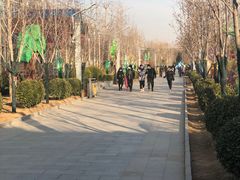 -南宫五洲植物乐园